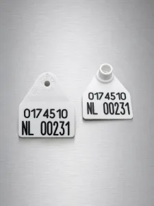 Allflex Pentags voor fokzeugen